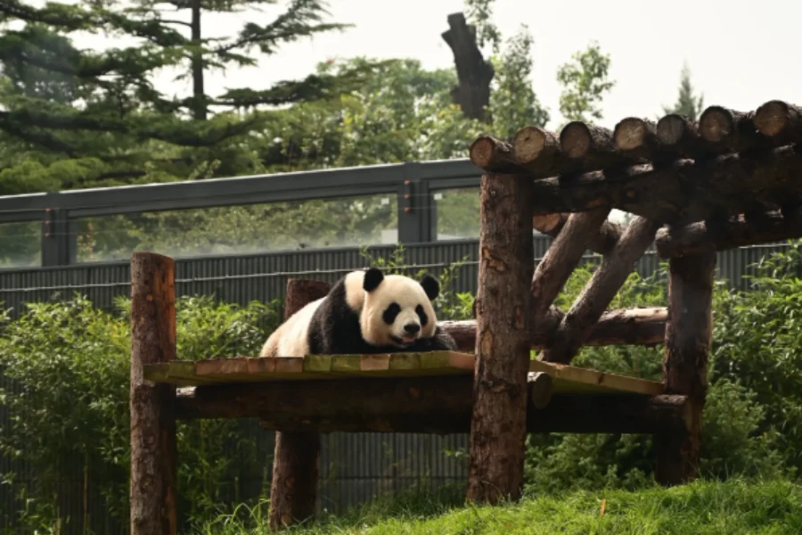 Scenery of Beijing Zoo tourist attraction