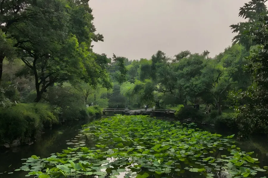 Humble Administrator's Garden in Suzhou showing elegant classical Chinese garden scenery with pavilions and ponds