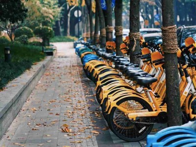 Yellow shared bikes lined on street