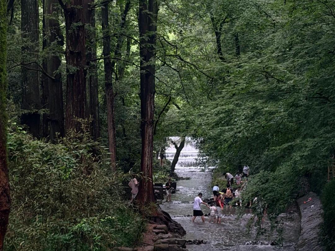 Walk along a refreshing mountain stream through the dense forest of Jiuxi Eighteen Gullies.