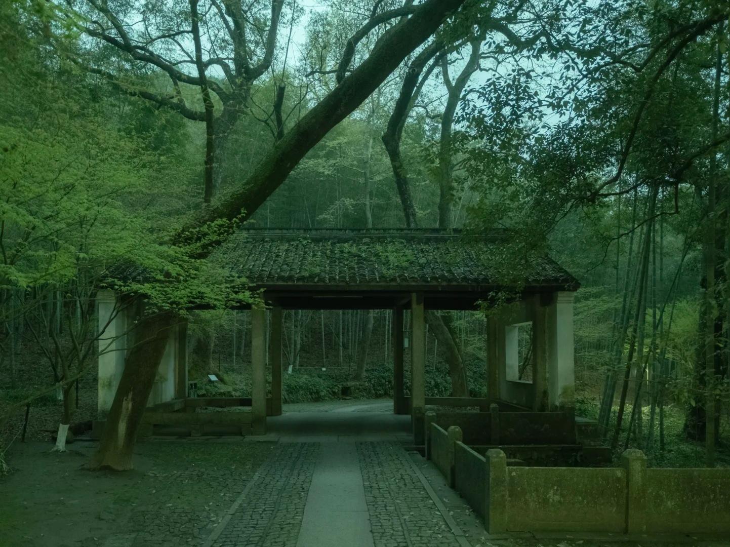 Ancient Pavilion Hidden in Hangzhou Mountain Forest