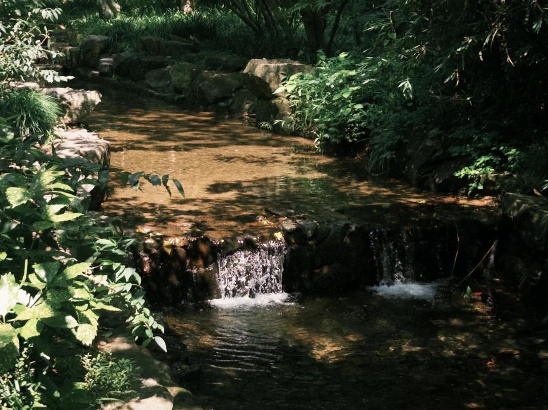 Shaded mountain brook with small waterfalls in Hangzhou Nine?Creeks woodland