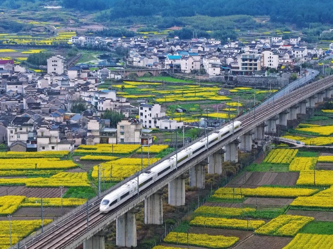 High?Speed Train Traveling Across Viaduct Through Rape Flower Fields and Ancient Villages