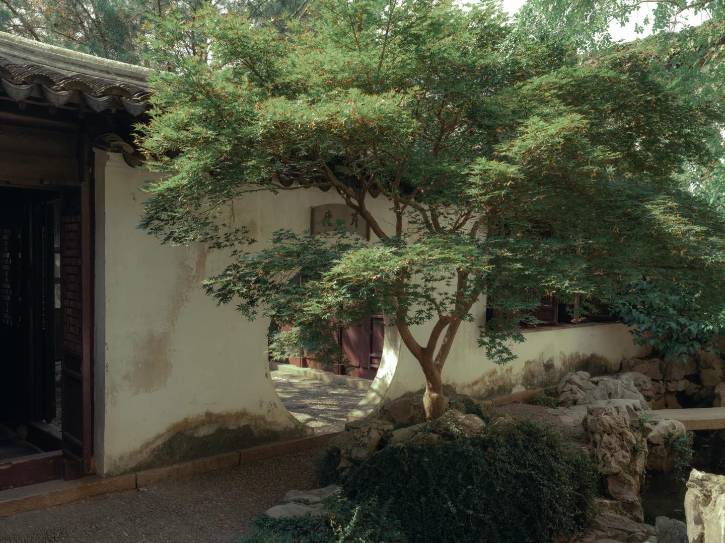 Moon?shaped gate, maple tree and rockery in Suzhou historic garden