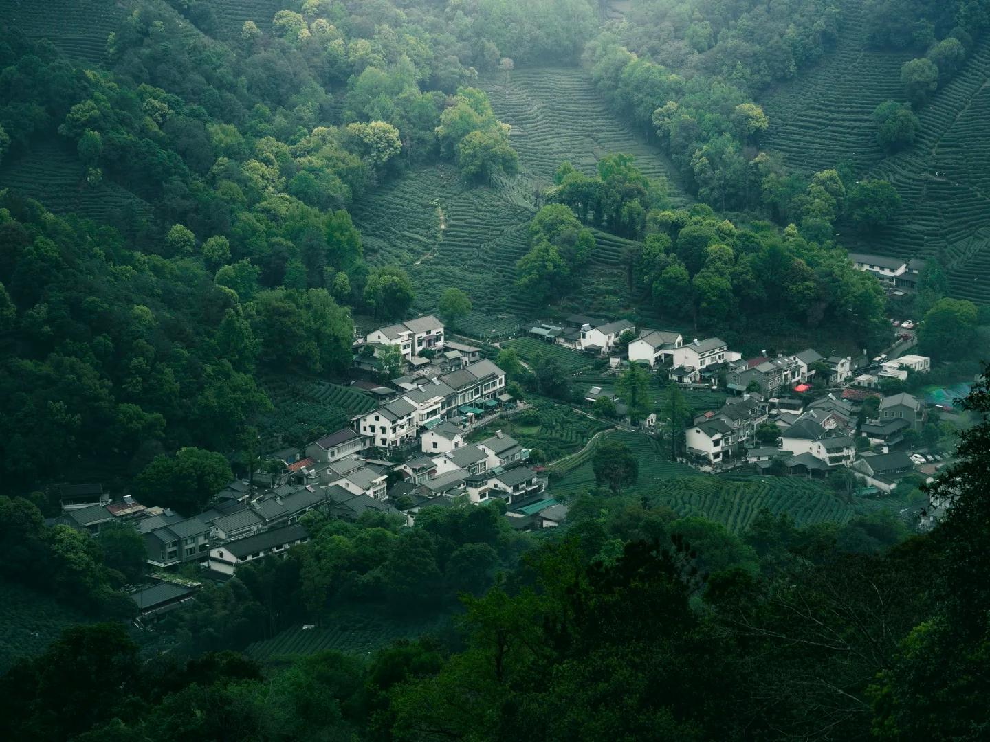 Mountain tea terraces and village in Longjing
