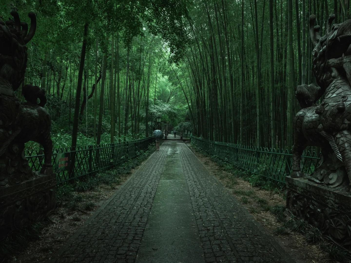 Ancient stone path in Yunqi bamboo woods with kylin sculptures