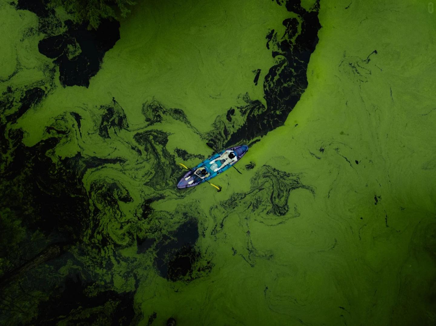 Aerial view of kayak on algae wetland surface