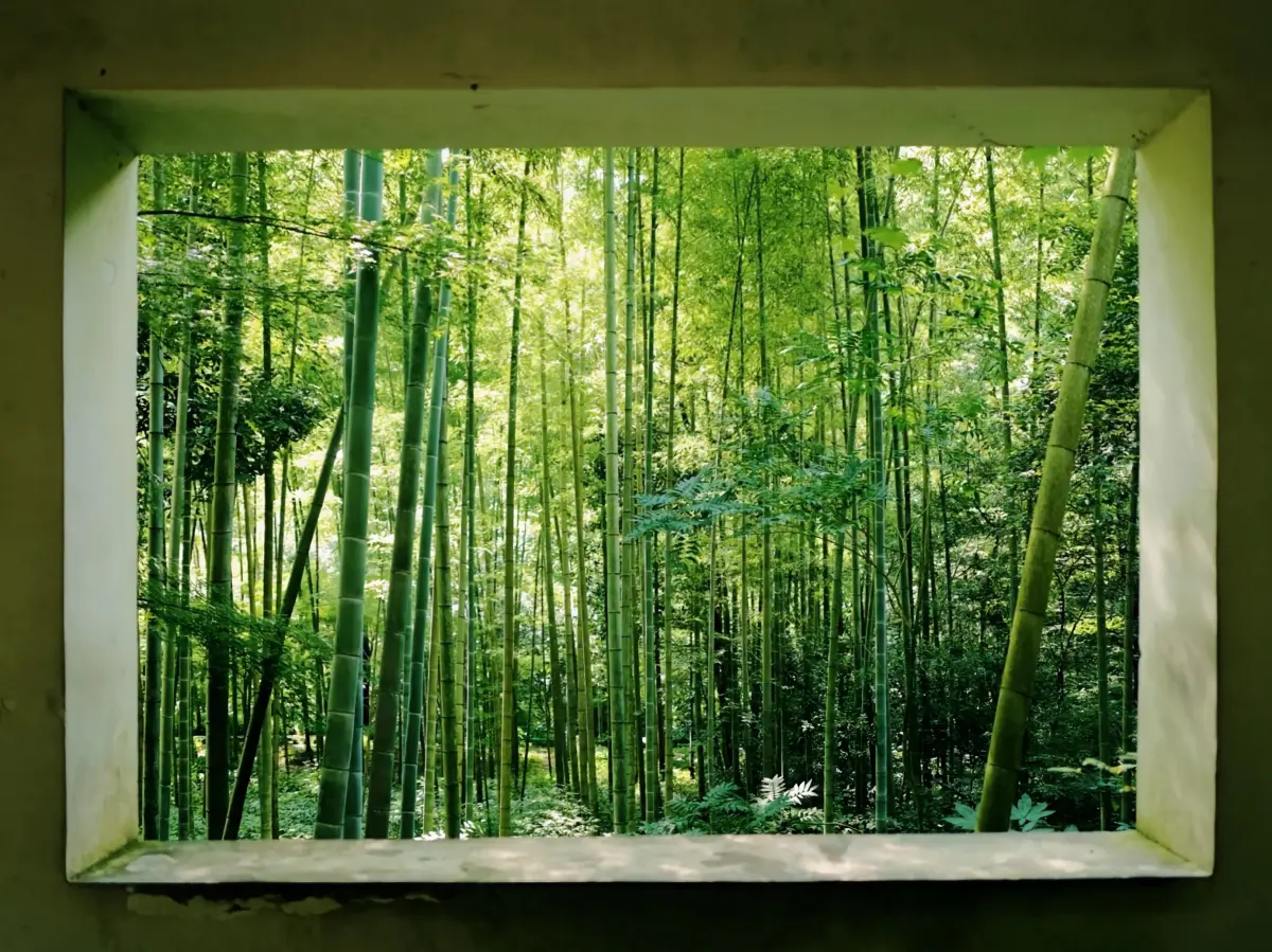 Bamboo Forest View Through Window