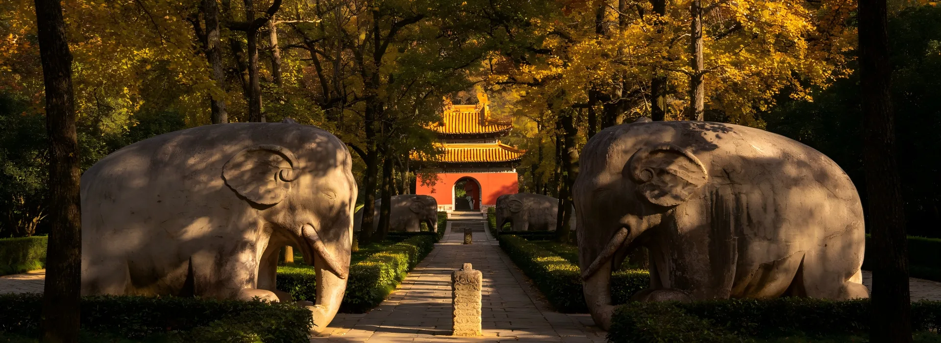 Nanjing music stage with white pigeons and lush woods