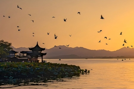 West Lake Sunset with Flying Birds and Ancient Pavilion Hangzhou