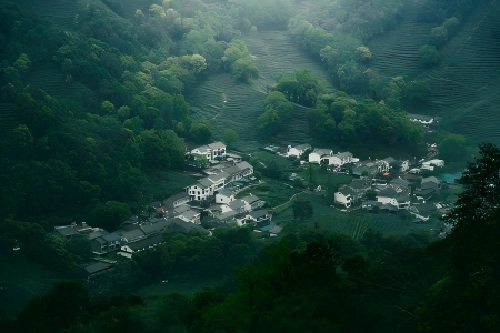 Ancient village surrounded by vast green tea terraces