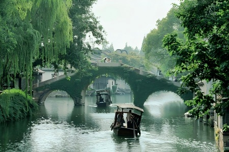 Wooden tourist boats passing ivy-covered stone bridge in Wuzhen water town