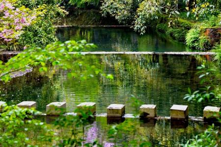 Stone Slab Road on the Water of Jiuxi Eighteen Streams The scattered stone piers and wild trees along the banks of the Jiuxi Eighteen Streams