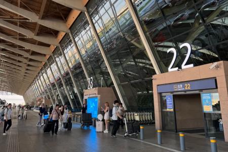 Shanghai Pudong International Airport Departure Curb, Gate 22 and 23 Exterior, Travellers and Luggage
