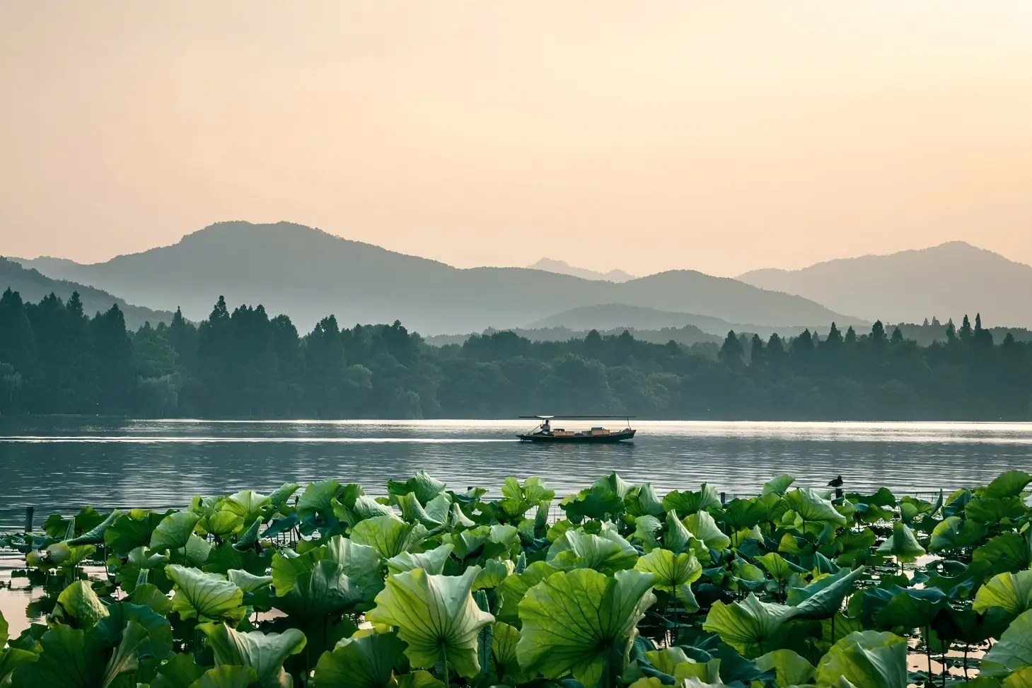 Serene sunrise scenery of Hangzhou West Lake, lotus leaves in foreground, wooden boat and misty mountain backdrop
