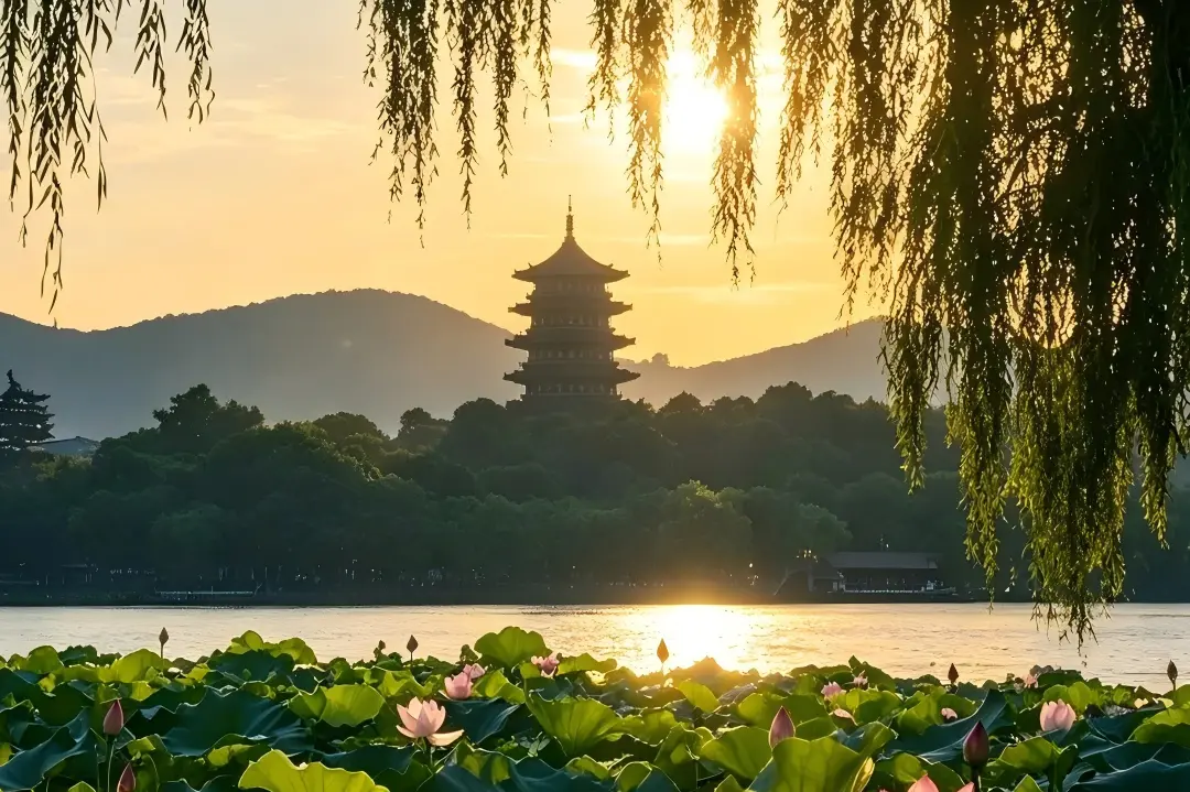 Scenic sunrise view of Leifeng Pagoda with lotus flowers and willows at Hangzhou West Lake