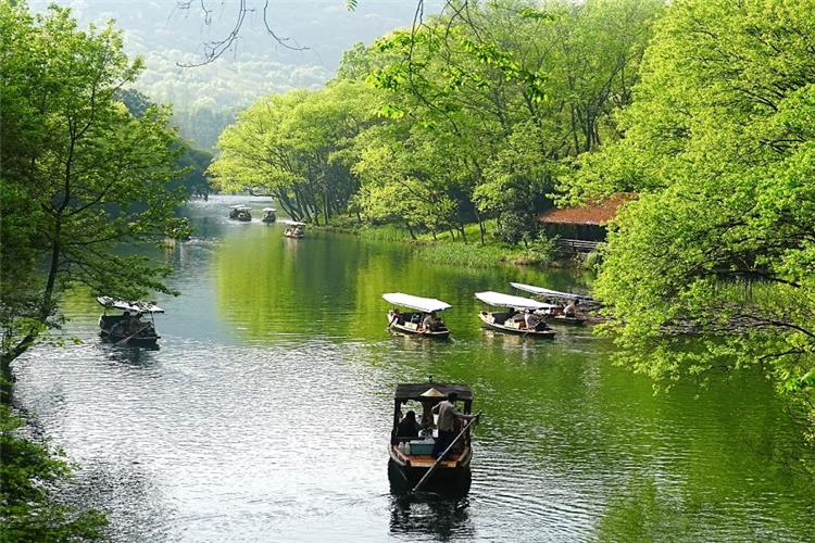 Traditional wooden paddle boats sailing on calm green water surrounded by lush fresh green trees along West Lake's hidden waterway