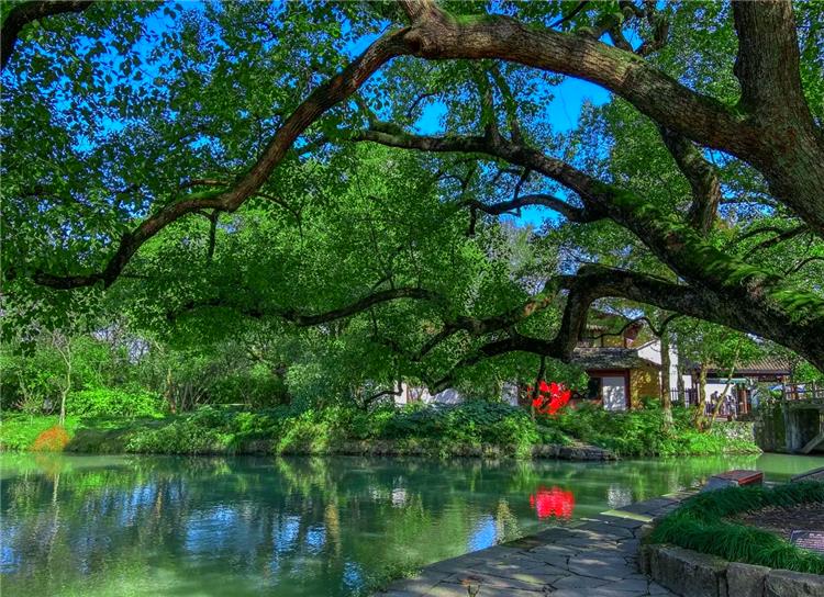 Xixi Wetland Xixi Wetland in Hangzhou showing peaceful ecological wetland and water village scenery