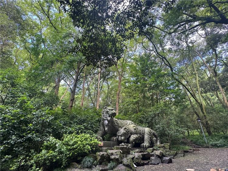 Hupao Park Hupao Park (Dreaming of Tiger Spring) in Hangzhou featuring quiet mountain park famed for sweet natural spring water, Zen temples and profound tea culture