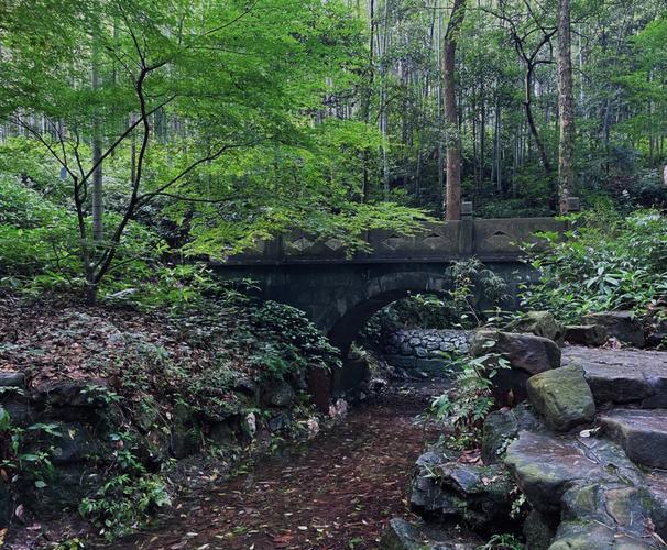 Bamboo-Lined Path at Yunqi in Hangzhou featuring tranquil ancient bamboo valley with stone trails, old pavilions and profound tea culture atmosphere