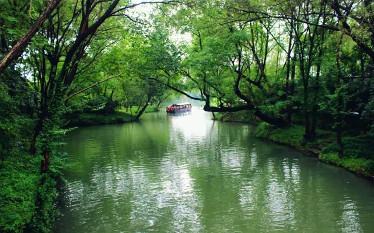 Xixi National Wetland Park in Hangzhou featuring crisscross water networks, ancient fishing villages and vast reed marshes amid urban greenery