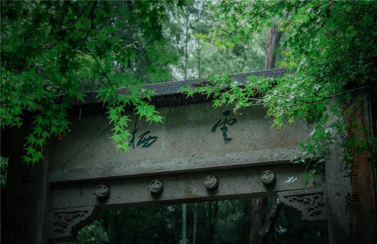 Bamboo-Lined Path at Yunqi in Hangzhou featuring serene vast bamboo forest, ancient pavilions and tranquil mountain natural scenery