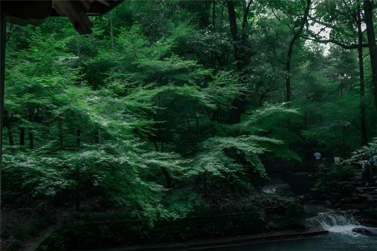 A Bamboo-Lined Path at Yunqi, one of New Ten Scenes of West Lake Hangzhou, featuring boundless tall bamboo groves, ancient bluestone imperial path, murmuring mountain streams and classical pavilions hidden in misty valley