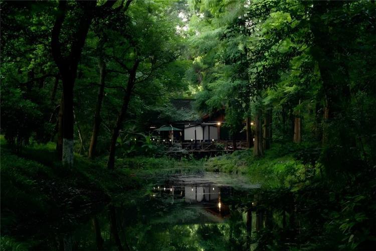 Guo's Villa hidden deep in lush green woods beside West Lake Hangzhou, quiet narrow water channel reflecting wooden waterside pavilion, dense layered ancient trees forming a secluded tranquil forest garden with soft warm lamp light mirrored on still water