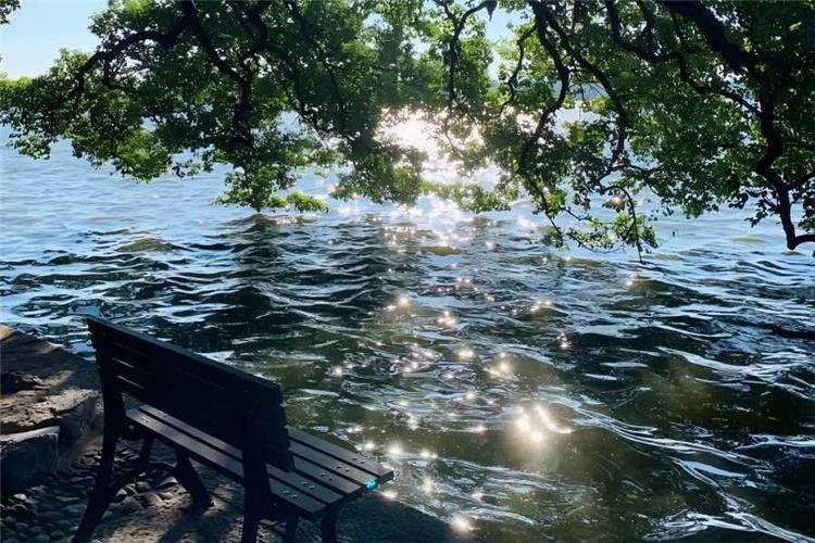 Classical West Lake of Hangzhou West Lake in Hangzhou showing picturesque lake scenery with traditional landscapes