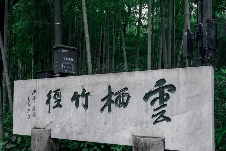 Green Bamboo Forest at Yunqi Yunqi Bamboo Path in Hangzhou showing lush green bamboo forest and quiet mountain trails