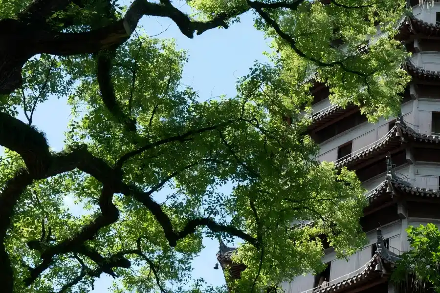 Hangzhou Six Harmonies Pagoda Six Harmonies Pagoda in Hangzhou showing ancient Song-dynasty octagonal pagoda standing on Yuelun Hill overlooking Qiantang River, a famous historic tower for watching river tides