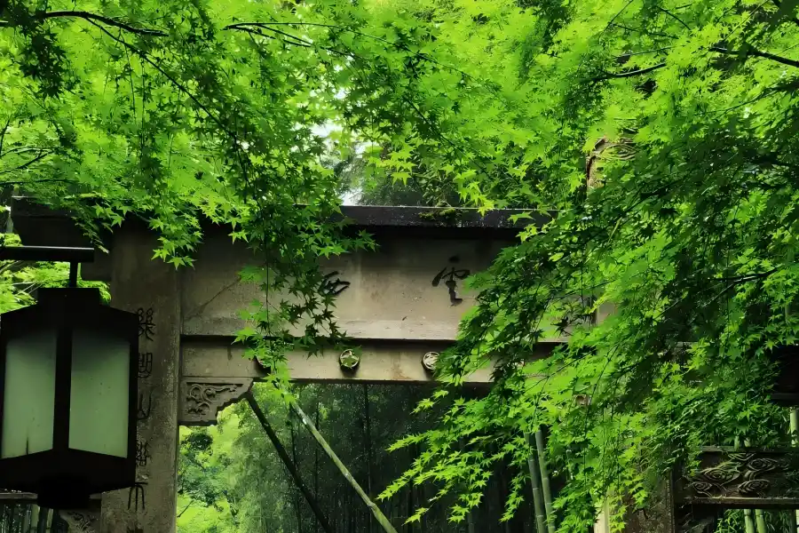 Bamboo-Lined Path at Yunqi in Hangzhou, top scenery of West Lake New Ten Views, featuring towering green bamboo groves forming a natural green tunnel, winding bluestone trails, gurgling mountain streams, ancient wooden pavilions and thousand-year-old maple trees, famous for quiet, cool, misty and poetic bamboo valley landscapes
