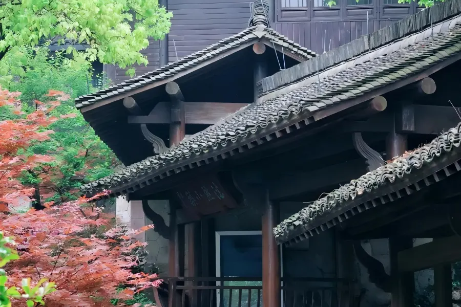 Tea-themed China National Tea Museum featuring ancient tea sets, tea culture displays and quiet courtyard landscapes in West Lake tea hills.