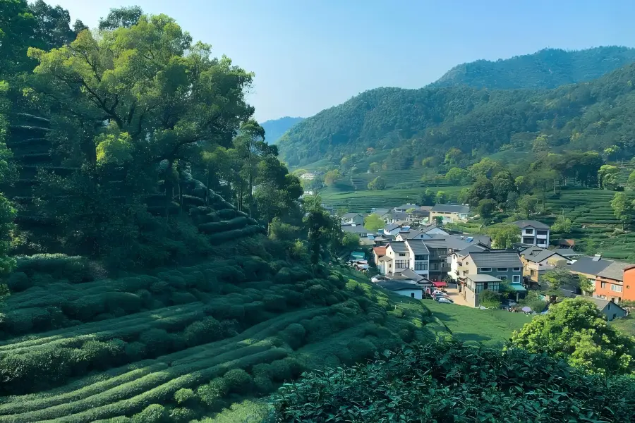 Meijiawu in Hangzhou showing tourists tasting authentic Longjing tea among rolling tea hills