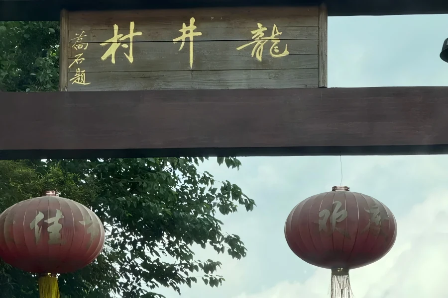 Meijiawu Longjing Village in Hangzhou showing guests tasting fresh Longjing tea surrounded by green tea terraces