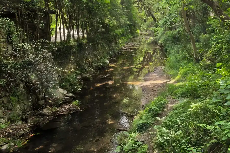 Nine Streams and Eighteen Gullies in Hangzhou showing winding mountain streams, green bamboo forests and stone paths
2. image title（图片名称）