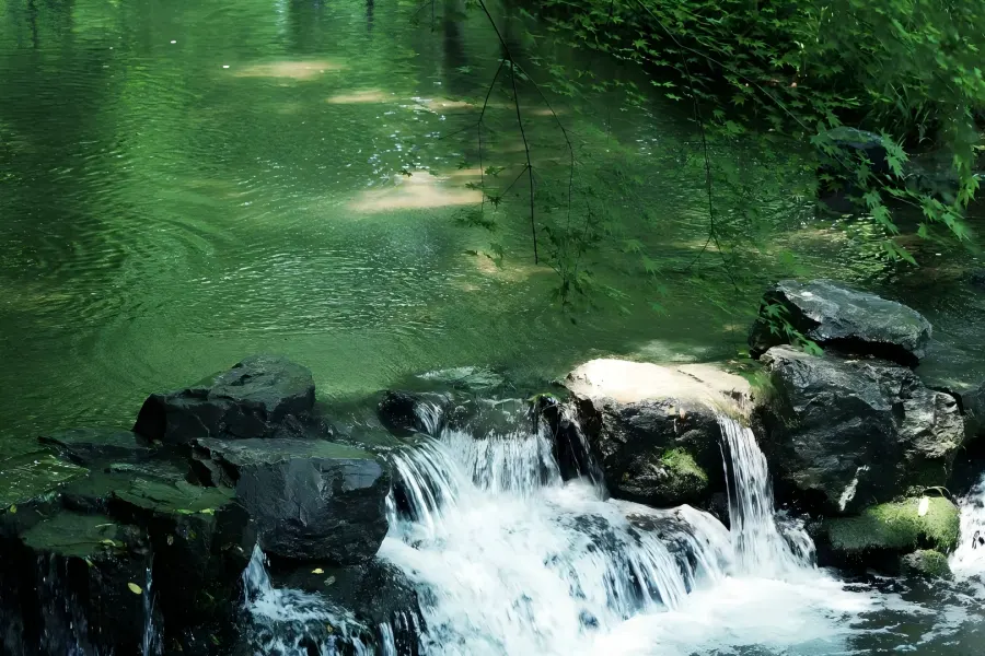 Nine Streams and Eighteen Gullies in Hangzhou featuring gurgling mountain creeks shaded by lush green trees