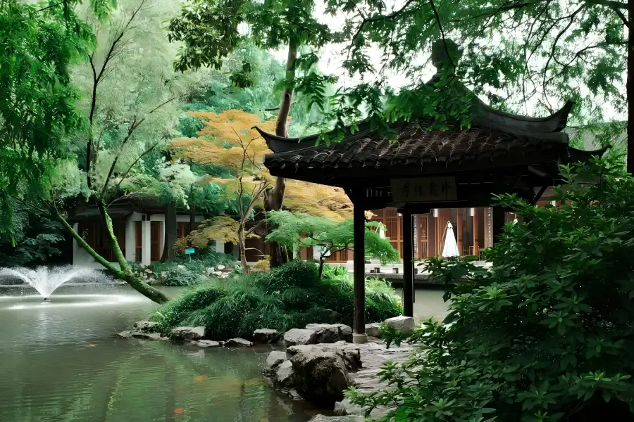Hangzhou Botanical Garden in Hangzhou filled with lush woods, blooming magnolias and quiet forest trails