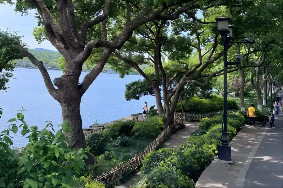 Su Causeway in Hangzhou lined with willow trees spanning tranquil West Lake waters