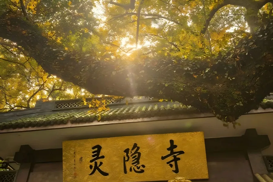 Lingyin Temple in Hangzhou showing ancient Buddhist temples hidden among dense green forested hills