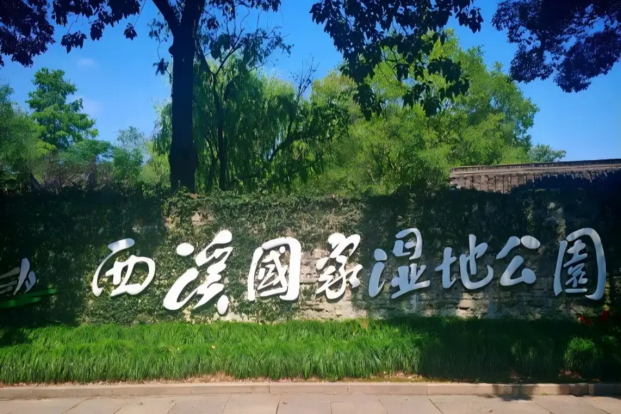 Xixi Wetland in Hangzhou displaying sprawling urban wetland scenery with dense metasequoia forests and winding clear canals
