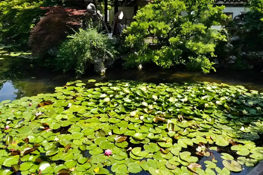 Guozhuang Lotus Garden West Lake Guo's Villa in Hangzhou showing blooming lotus ponds, winding covered corridors and delicate Qing-dynasty pavilions