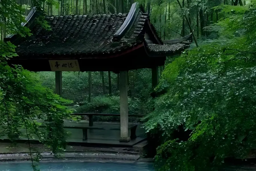 Yunqi Bamboo Path in Hangzhou showing endless towering green bamboo forests winding along stone trails with murmuring mountain streams
