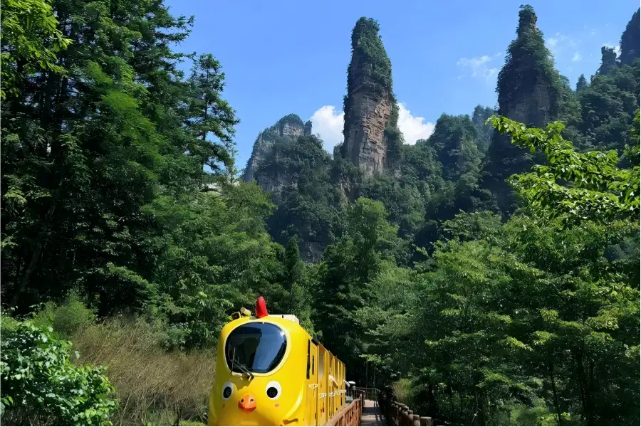 Yuanjiajie in Zhangjiajie showing towering quartz sandstone peaks rising from green valley forests