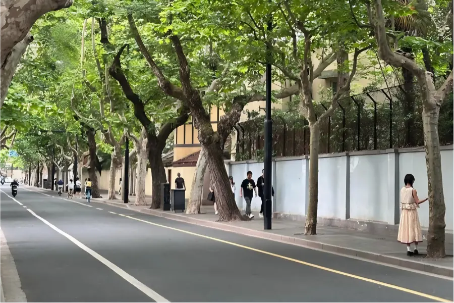 Scenery of Wukang Road Leisurely street view along Wukang Road, blending romantic European-style buildings and cozy literary cafes