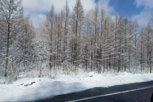 Winding scenic highway through snow-covered virgin forest between Yabuli and Snow Town