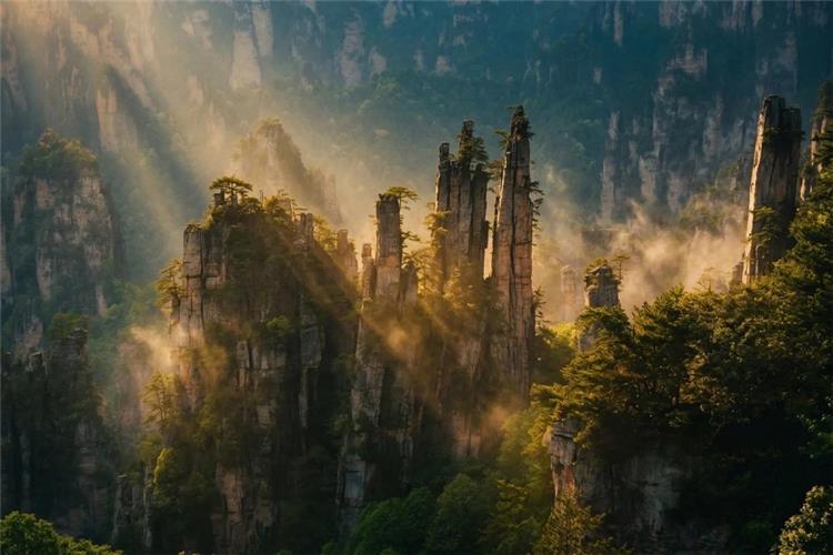 Misty Sunlit Peaks Zhangjiajie Wulingyuan Golden morning light and drifting fog through iconic stone pillars in Zhangjiajie