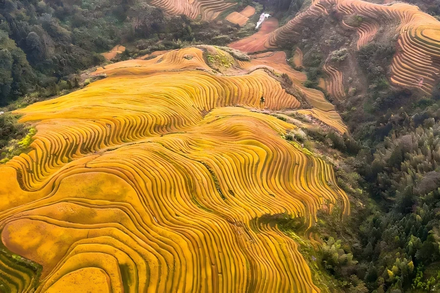 Longji Rice Terraces in Guilin showing magnificent layered mountain?side rice paddies carved by Zhuang and Yao ethnic groups amid rolling green mountains