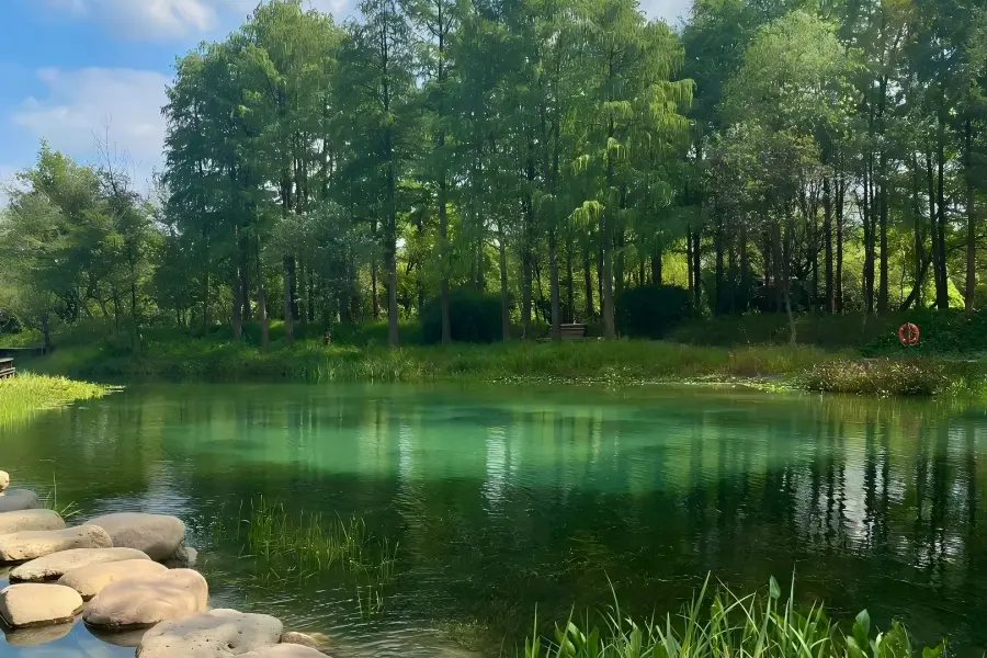 Xixi National Wetland Park, lush wetland scenery with sightseeing boats in Hangzhou