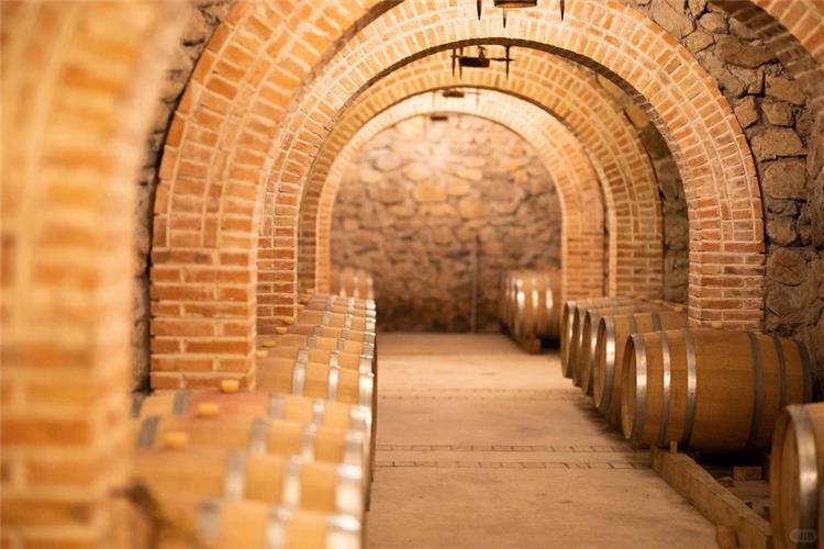 Rows of oak wine barrels stored inside vintage brick?arched underground wine cellar